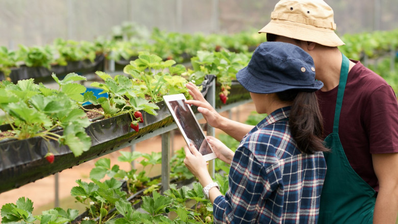 Agricultural Textiles Market to Witness Significant Growth Driven by Eco-Friendly Solutions