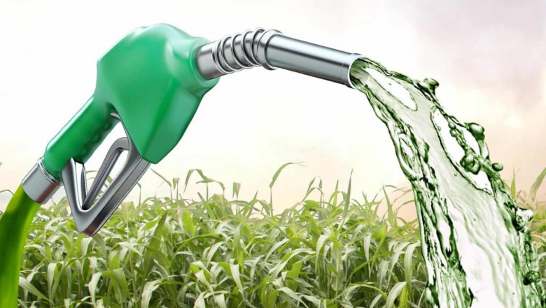 Ethanol Market Set to Soar Due to Increasing Demand for Renewable Fuel Sources