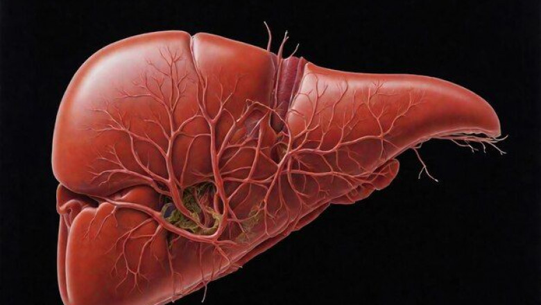 Hepatic Encephalopathy Market is Estimated to Witness High Growth Owing to Advanced Diagnostic Techniques and Novel Therapies