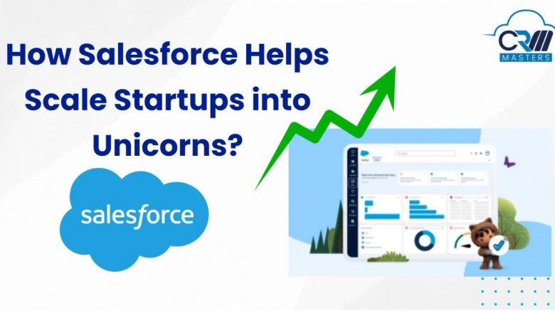 How Salesforce Helps Scale Startups into Unicorn Business