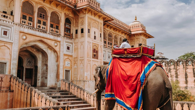 Amber Fort Elephant Rides: What No One Tells You About the Ethics