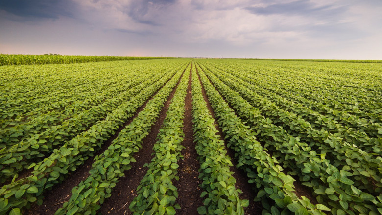 Farming As a Service Market Set to Grow Rapidly Due to Increasing Adoption of Smart Agriculture Technologies Technologies