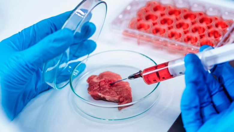 Global Transplant Diagnostics Market: Trends, Growth, and Future Outlook (2024-2032)