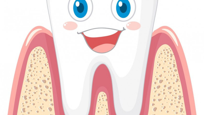 Tooth Regeneration Market: How Stem Cells and 3D Printing are Transforming Dental Restoration