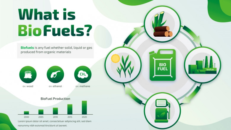 Biofuels Market Statistics 2025: Major Factors behind Industry Rapid Growth