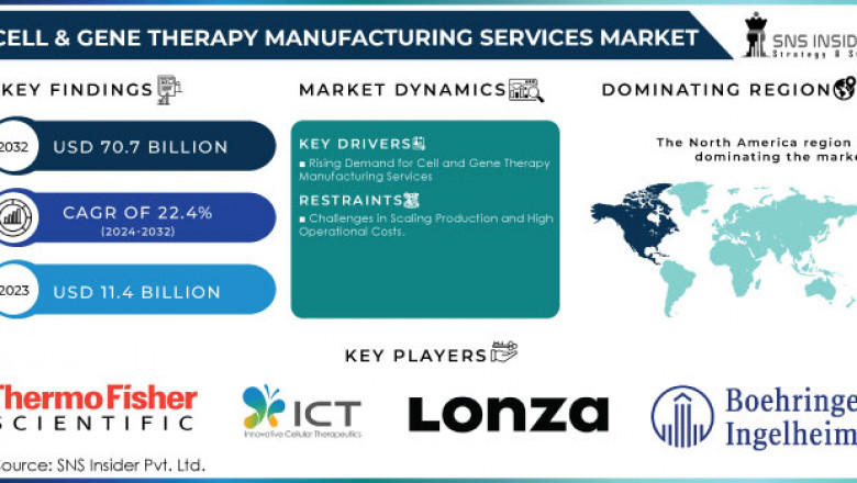 Cell & Gene Therapy Manufacturing Services Market: Market Analysis and Market Growth 2024-2032