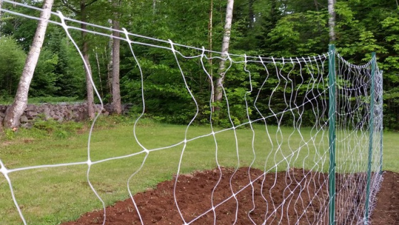 Maximize Your Cannabis Yields with Trellis Netting from Scrogbox4Sale