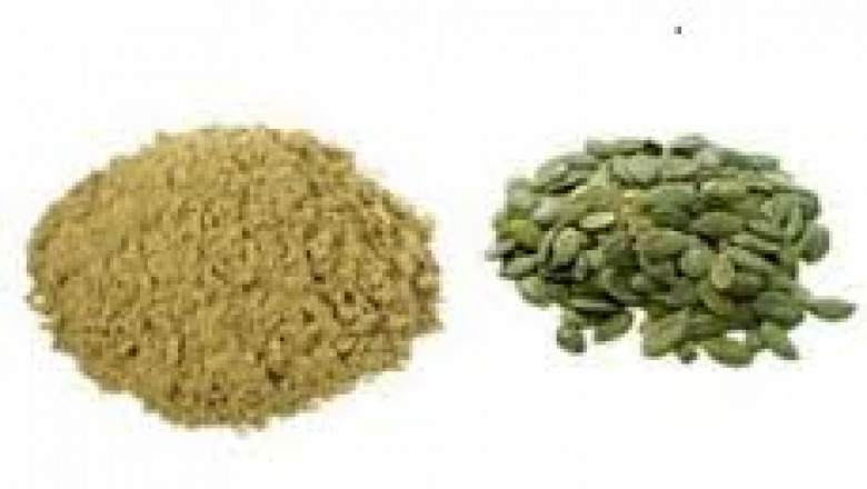 Pumpkin Seed Protein Market: Supply Chain Analysis and Export Dynamics
