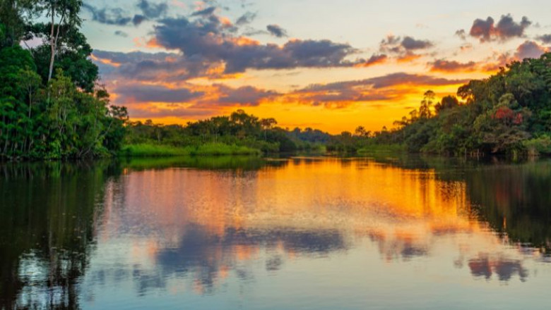 A Amazônia e o Brasil: Uma História de Conservação e Conflito