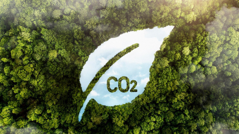 The Carbon Market Revolution: A $2.68 Trillion Opportunity for Climate Action and Business Growth