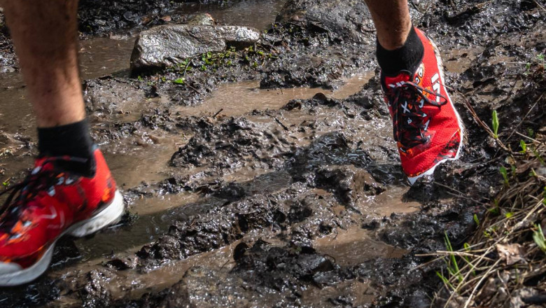 Trail Running Shoes Market Evolving with Eco-Friendly Designs and Customization Options for Runners
