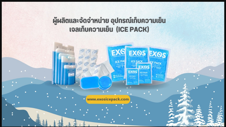 เจลเย็น Exos Ice Pack: วิธีเลือกอุปกรณ์เก็บความเย็นที่เหมาะสมสำหรับธุรกิจของคุณ