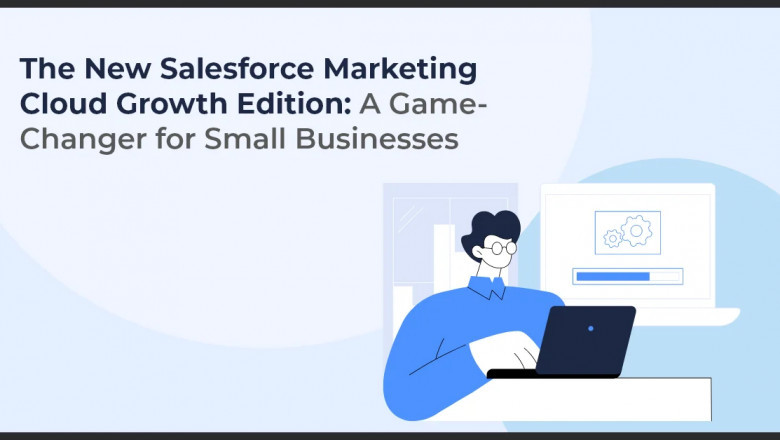 Freelancer vs. Agency: Which Salesforce Marketing Cloud Consultant is Right for You?
