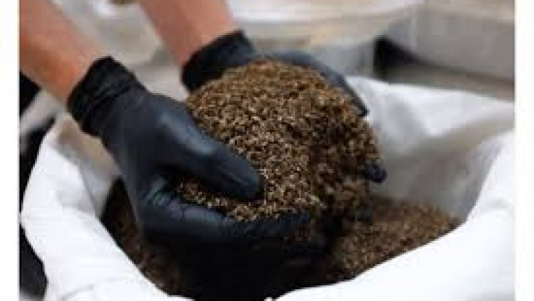 Insect-based Fertilizer Market Drives Circular Economy through Waste-to-Value Agricultural Products