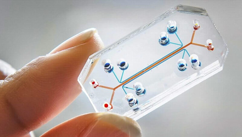Global Organ-on-Chip Market: Trends, Growth Drivers, and Future Outlook