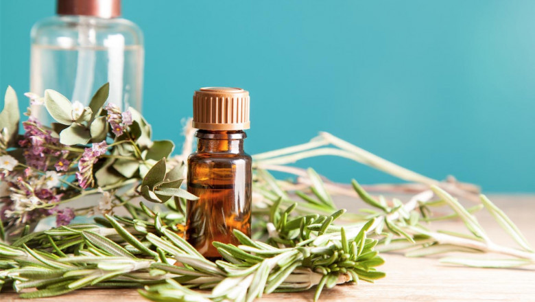 Herbal Infusions: Potent Oil Blends for Everyday Wellness