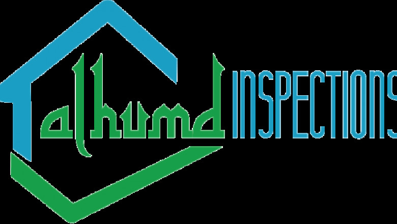 Hidden Threats The Importance of Professional Termite Inspection