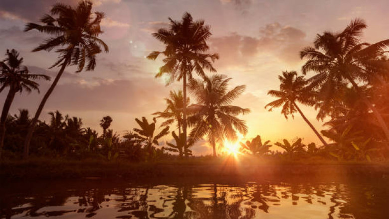 Top Reasons Kerala is Called ‘God’s Own Country’