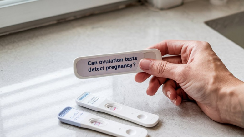 Can Ovulation Tests Detect Pregnancy? Debunking the Myth