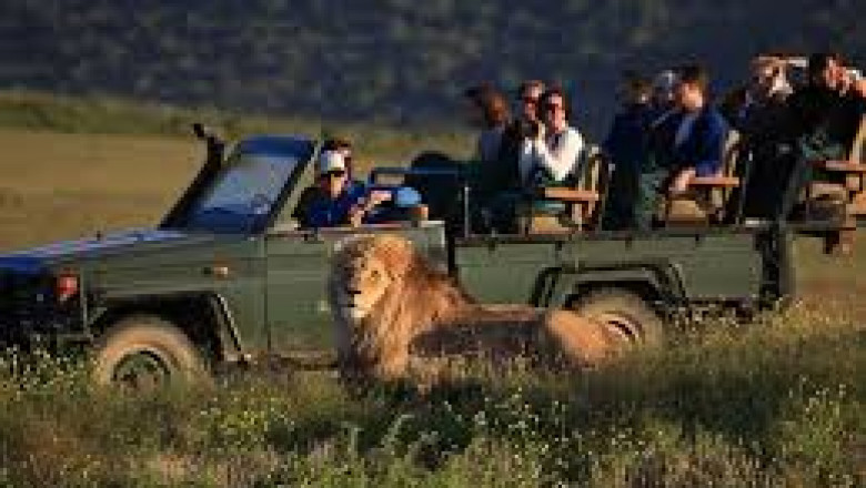 Magic of a Malaria-Free Safari