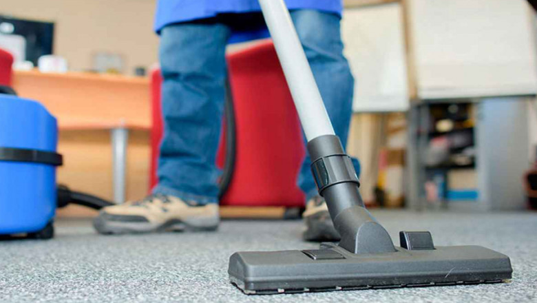 Top 5 Things to Look for in a Professional Carpet Cleaning Company