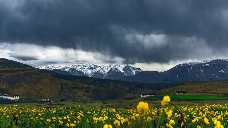 Top 7 Reasons to Add the Valley of Flowers Trek to Your Bucket List