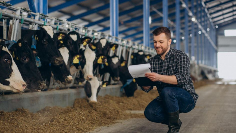 Best Livestock and Feed Services in India – Enpro Feeds