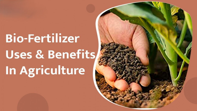In-Depth Biofertilizers Market Intelligence: Growth Patterns, Demand Dynamics, and Competitive Landscape