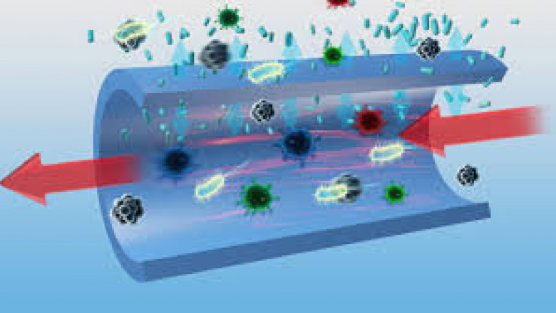 Smart Surface Solutions: Trends and Growth in the Antimicrobial Coatings Market Across Industries