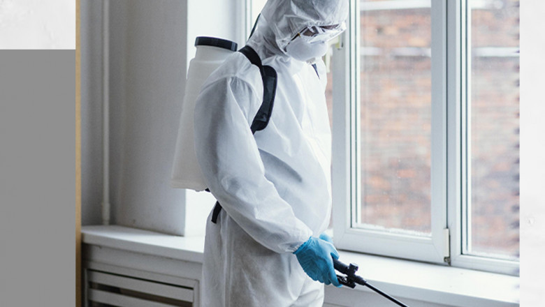 System Pest: Effective Pest Control Solutions in Singapore – Protecting Your Home and Health