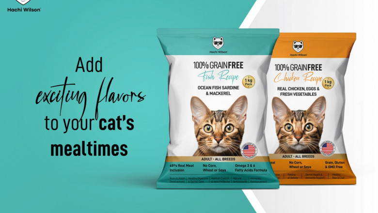 Why Cat Treat Food from Hachiwilson