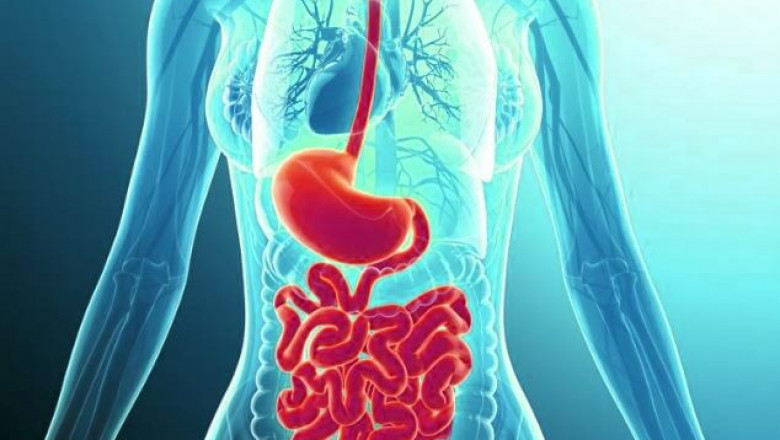 Best Gastroenterologist in Bangalore – Dr. Bhushan Chittawadagi