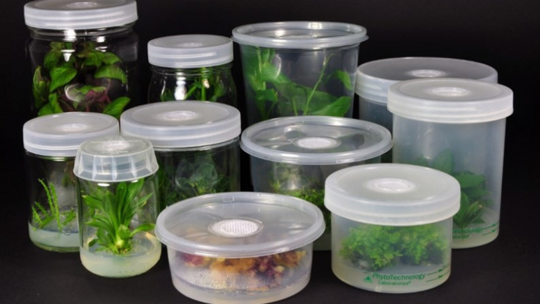 Cell Tissue Culture Supplies Market to Surpass US$ 41.3 Bn by 2033: Persistence Market Research