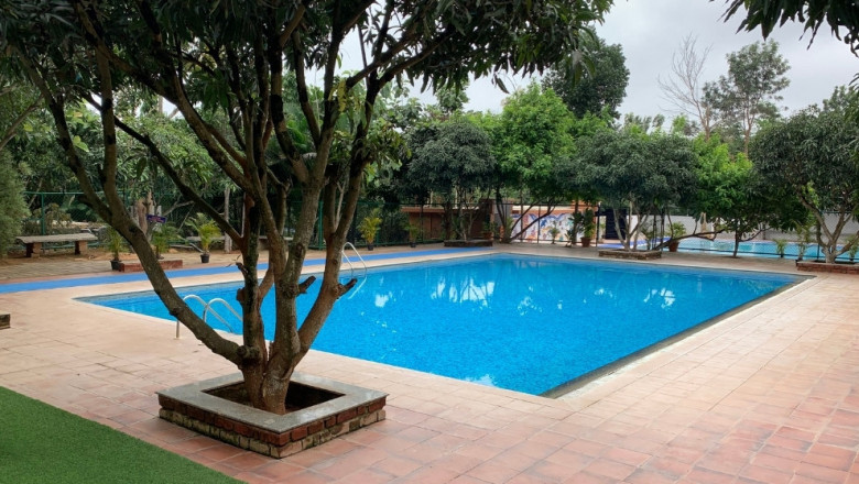 Suggee Resort – The Perfect Blend of Relaxation and Fun