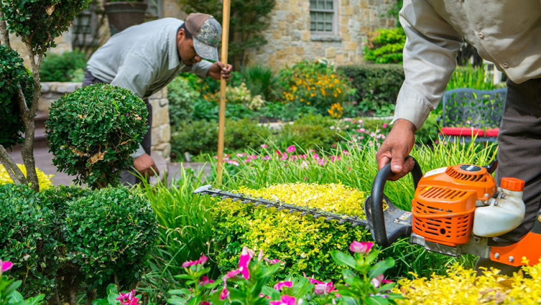 Green Spaces, Greater Profits: Tampa Commercial Landscaping Unleashed