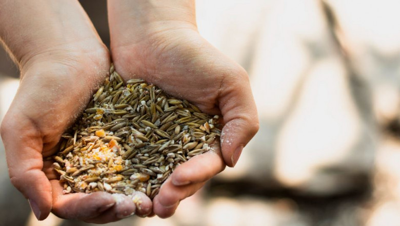 Best Feed Provider in India – Enpro Feeds: A Pioneer in Livestock Nutrition