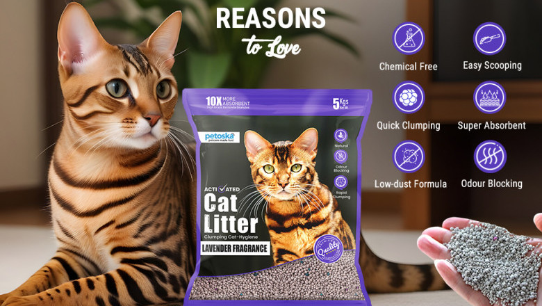 Buy Cat Litter Online