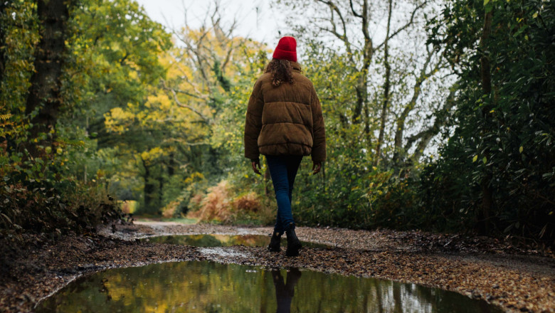 Digital Detox Diaries: Reclaiming Your Time in a Screen-Obsessed World