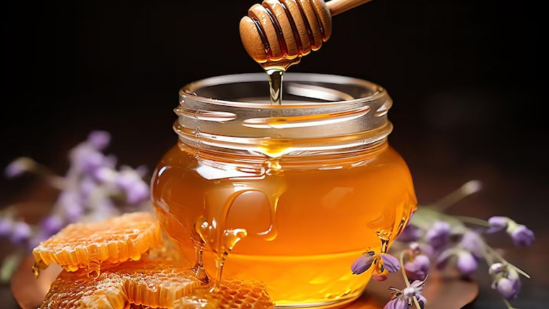Honey Market Forecast: Trends, Growth Drivers, Opportunities, and Challenges for the Coming Years