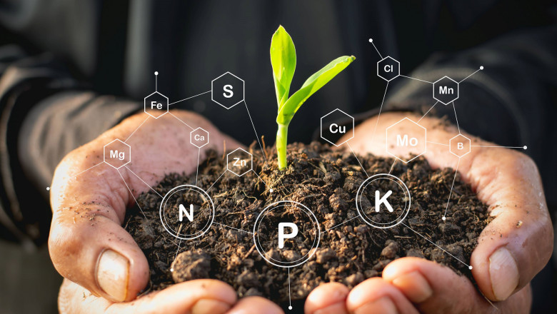 Humic Acid Market Scope: Growth Prospects, Applications, and Emerging Opportunities in Agriculture