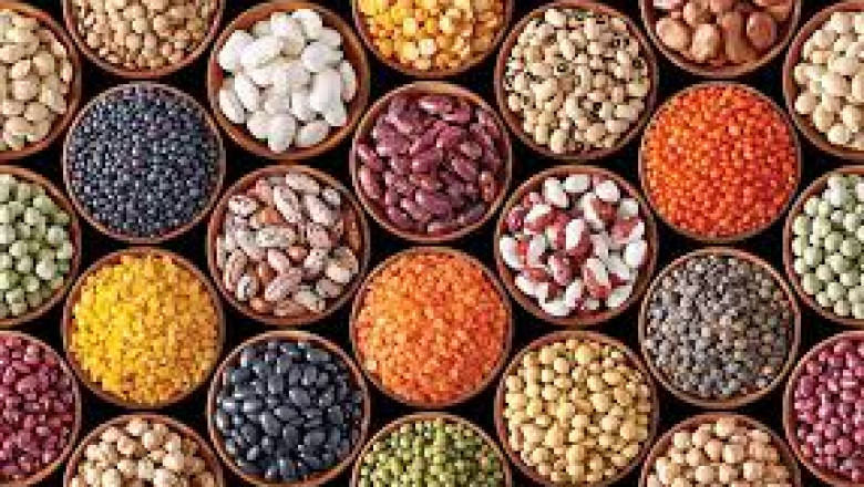 Pulse Ingredients Market: An In-depth Analysis of Market Dynamics and Regional Growth Opportunities