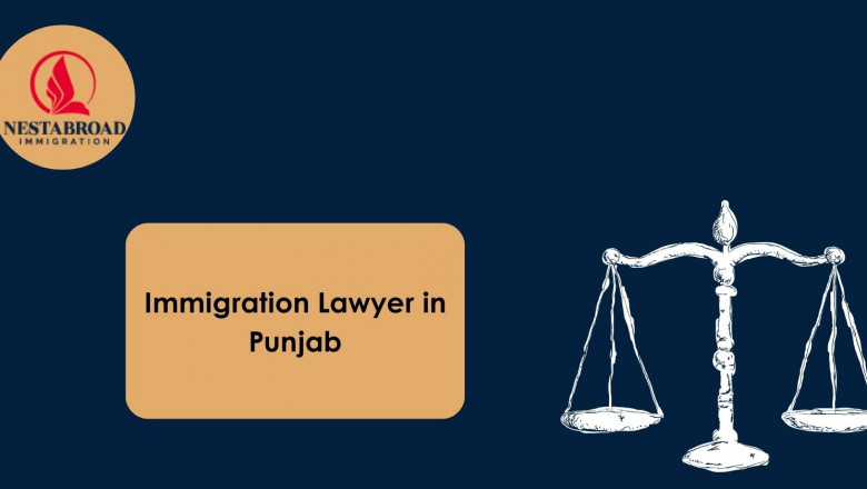 Your Trusted Partner in Immigration: Nestabroad’s Expert Guidance for a Smooth Journey