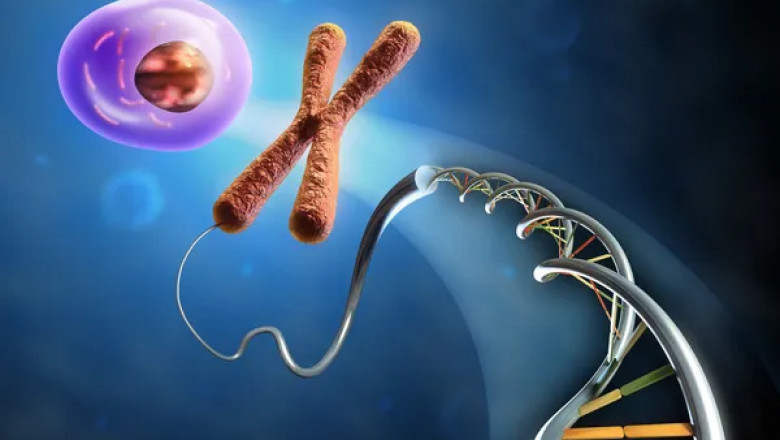 Advancements in Targeted Protein Degradation: GID4-Based PROTACs and the Future of Molecular Therapeutics