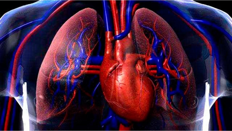 Cardiovascular Diagnostics Market Analysis: Exploring Key Segments and Emerging Technologies in Healthcare