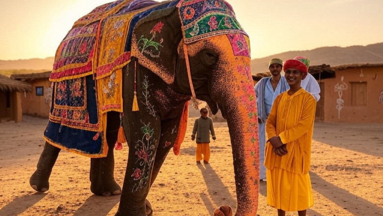 Elephant Ride in Jaipur 2025: Best Places, Timings & Ethical Tips