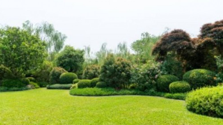 JBM Custom Contracting Launches Comprehensive Lawn Care Solutions and Lawn Mowing Services in Nanaimo