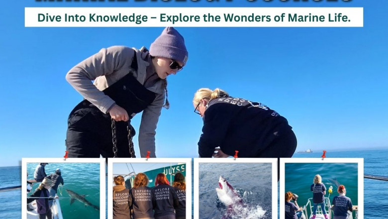 Marine Biology Courses