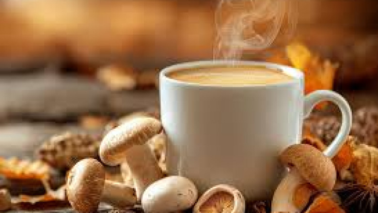 Mushroom Coffee Market Regional Analysis: Which Regions Are Leading the Mushroom Coffee Revolution