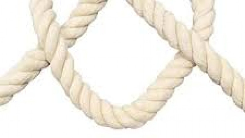 Ropes Market Regional Outlook: Which Countries Are Leading the Industry Transformation Now