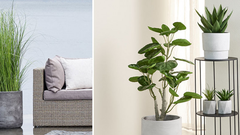 Artificial Plants Market: Exploring the Rising Demand for Low-Maintenance Greenery in Modern Living